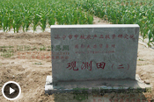 大蒜觀測田苗情長勢監(jiān)測—3月17日 (1702播放)