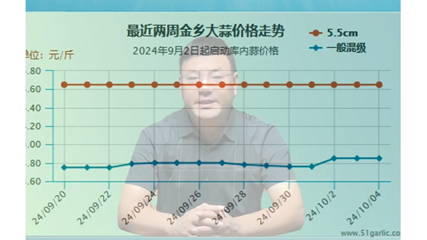 蒜價猛然上漲、能否再接再厲 (632播放)