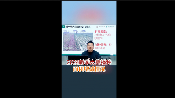 2024新季大蒜播種面積增減情況 (712播放)