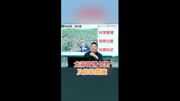 大蒜苗情長(zhǎng)勢(shì)及防控措施 ()